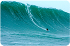 Mole's 50 foot wave at Aileens